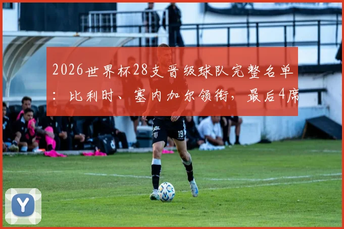 2026世界杯28支晋级球队完整名单：比利时、塞内加尔领衔，最后4席争夺进入白热化