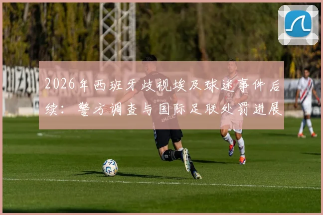 2026年西班牙歧视埃及球迷事件后续：警方调查与国际足联处罚进展详解