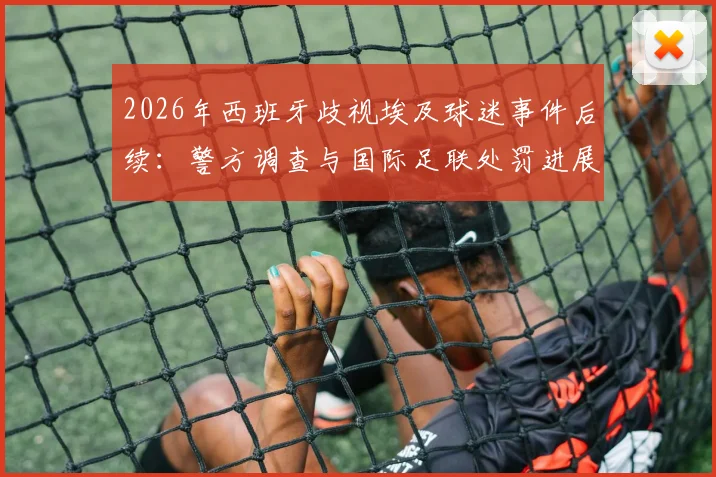2026年西班牙歧视埃及球迷事件后续：警方调查与国际足联处罚进展详解